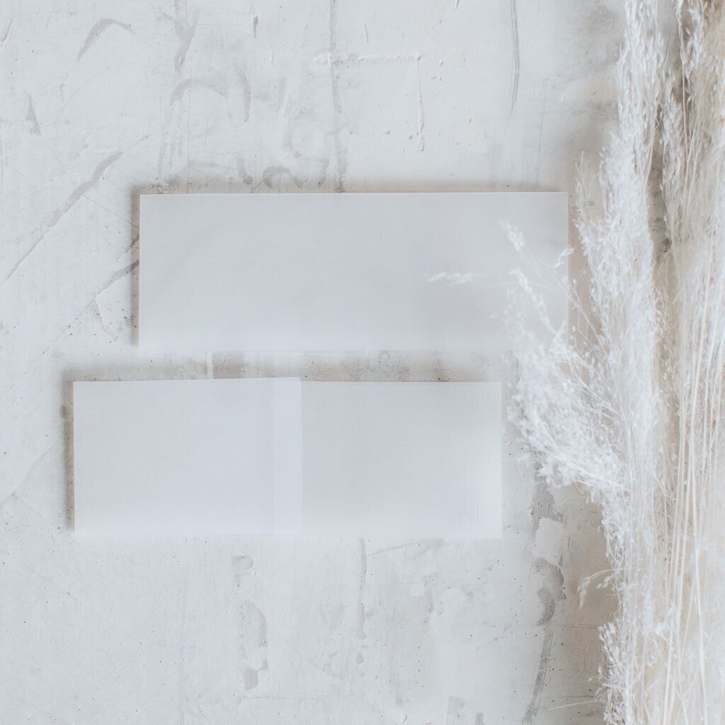 Vellum Belly Band